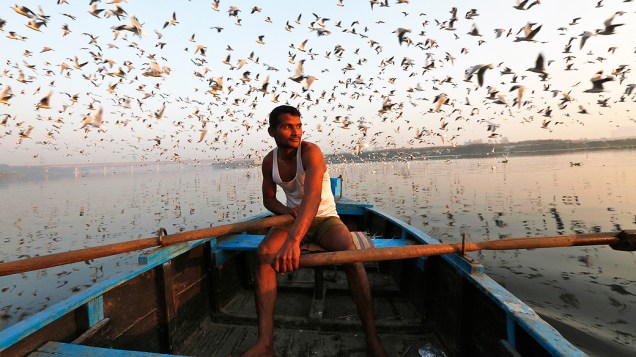 Aves migratórias sobrevoam um homem em seu barco nas águas do rio Yamuna, na velha Délhi, Índia