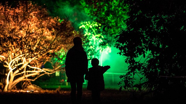 Mãe e seu filho olham árvores iluminadas em uma pré-estréia do Natal Encantado no National Arboretum, em Tetbury, Inglaterra