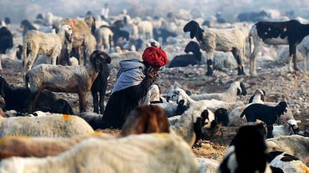 Pastor nômade é fotografado com suas ovelhas, nesta segunda-feira (9), nos arredores de Nova Déli, na Índia