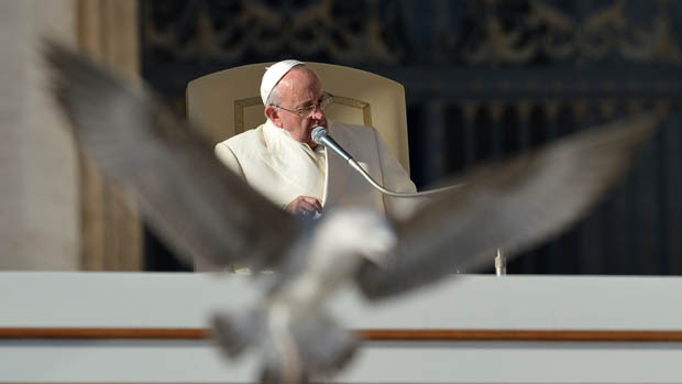 Uma gaivota voa na frente do Papa Francisco durante a audiência geral na Praça de São Pedro, no Vaticano