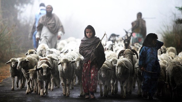 Jovens pastores nômades de Gujjar caminham com seu rebanho em meio à neblina perto de Jammu, na Índia, nesta quinta-feira (19)