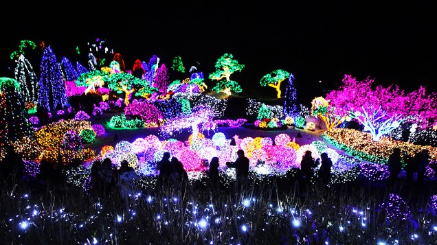 Visitantes caminham em meio ao jardim decorado para celebrar o Natal e o Ano Novo em Gapyeong, na Coréia do Sul