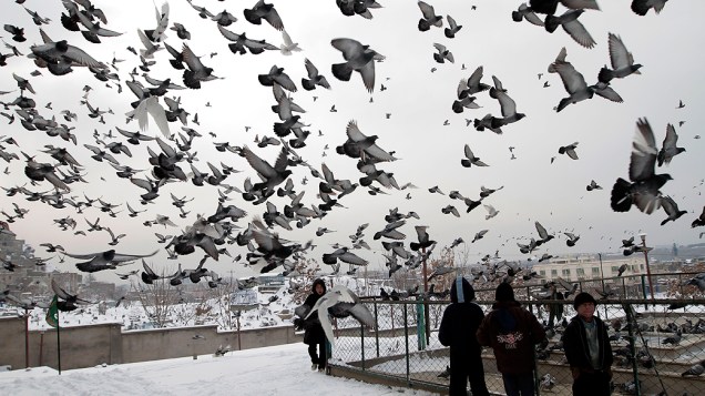 Pombos voam para fora do santuário Karti Sakhi em Cabul, Afeganistão