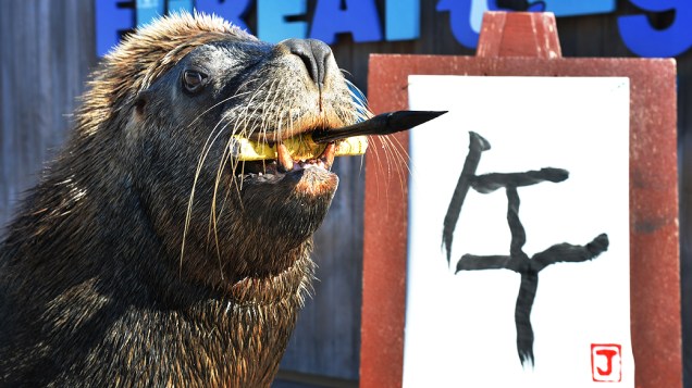 Leão marinho escreve o cavalo como parte das celebrações do Ano Novo no aquário Hakkeijima Sea Paradise, em Yokohama, no Japão Leão marinho escreve o cavalo como parte das celebrações do Ano Novo no aquário Hakkeijima Sea Paradise, em Yokohama, no Japão
