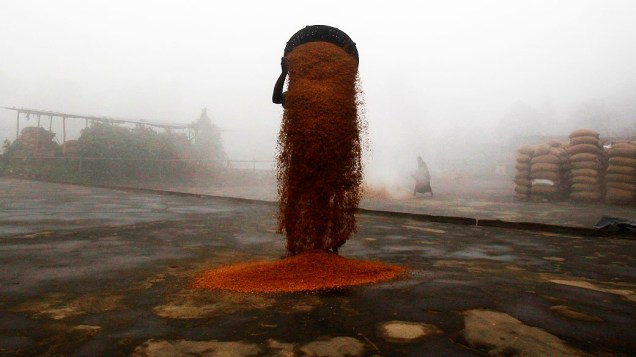 Agricultor espalha arroz colhido para secar em um moinho perto de Agartala, na Índia, nesta quinta-feira (09)
