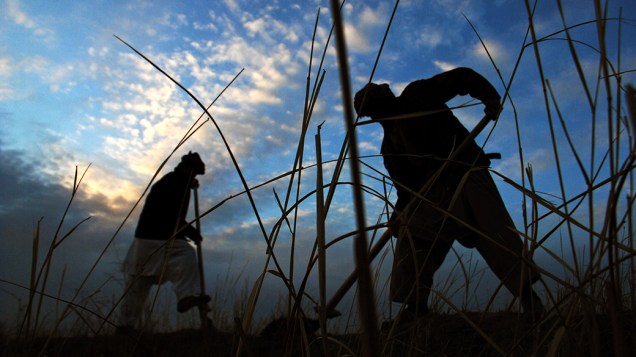 Agricultores durante dia de trabalho nos arredores de Mazar-e-Sharif, norte do Afeganistão