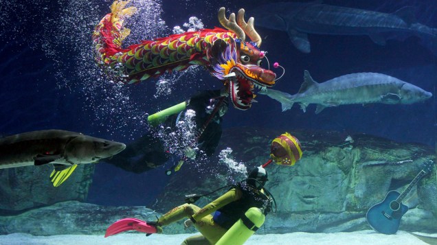 Mergulhadores executam dança do dragão debaixo dágua para acolher o Ano Novo Chinês no Aquário de Pequim