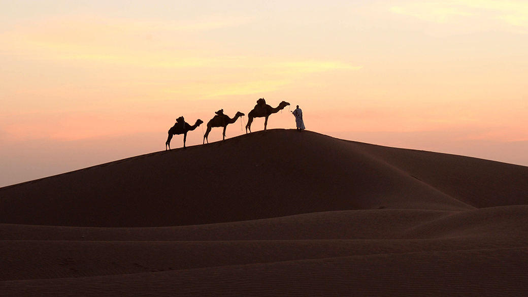 Homem caminha em uma duna com seus camelos em Mhamid el-Ghizlane, no sul do deserto do Saara marroquino