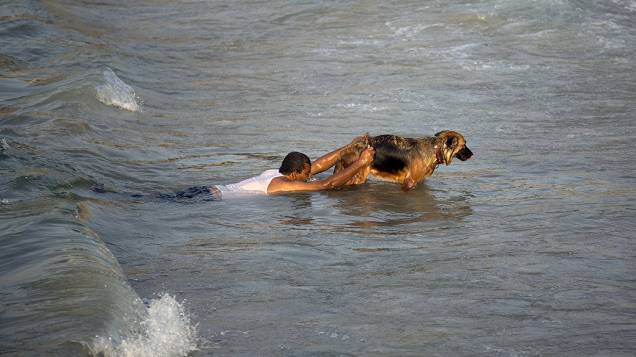 Palestino ensina cão a resgatar pessoas de naufrágio, em Gaza