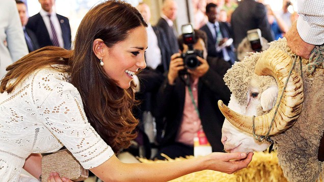 Kate Middleton brinca com um carneiro durante a visita à Sidney nesta sexta-feira (18). A Duquesa de Cambridge, o Príncipe Williams e o filho do casal, o Príncipe George, realizam uma visita de 19 dias na Austrália e Nova Zelândia