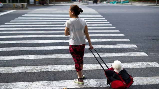 Uma mulher atravessaa rua levando seu cachorro eu uma mochila de rodinhas em Xangai, na China