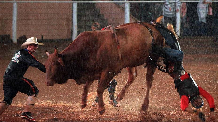 Peão durante rodeio, em Londrina