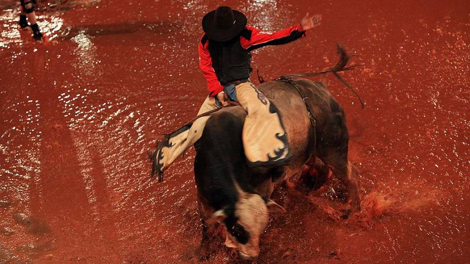 Peão durante rodeio, em Londrina