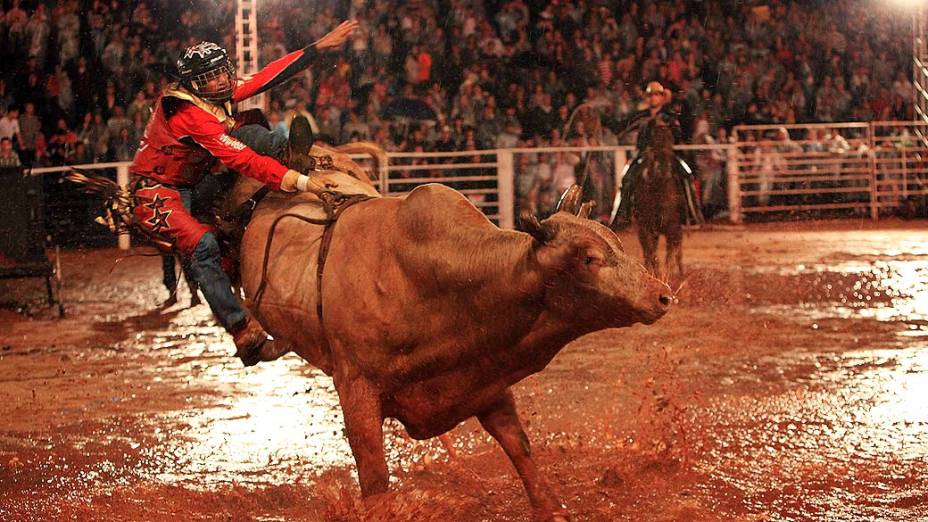 Peão durante rodeio, em Londrina