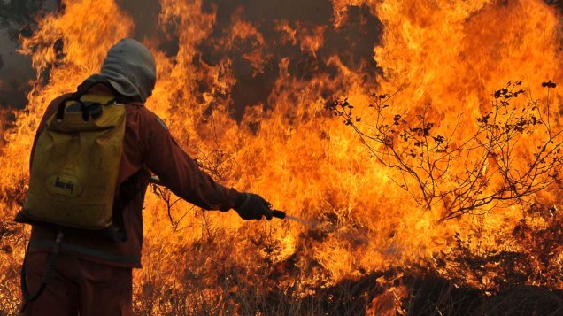 Membro da equipe do Corpo de Bombeiros trabalha para conter o incêndio na Floresta Nacional de Brasília