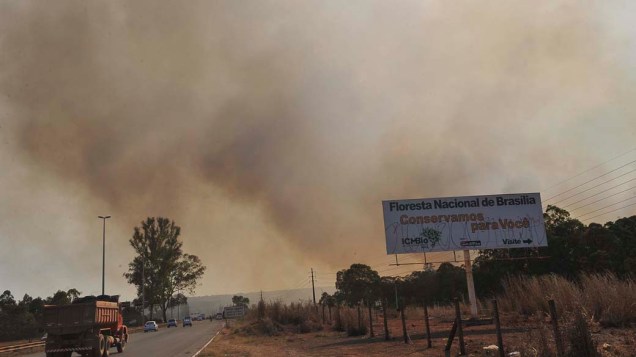 Fumaça na Floresta Nacional de Brasília
