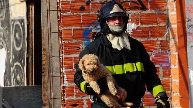 Bombeiro retira um cachorro do incêndio que atingiu a favela do Moinho, na região central de SP