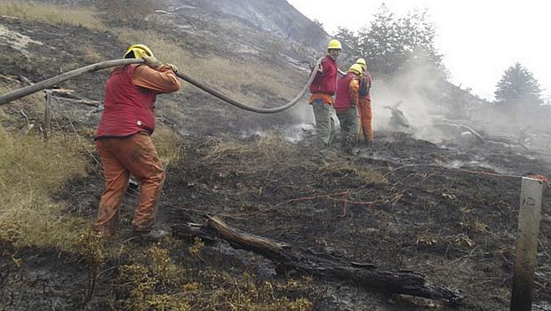 Governo chileno enviou mais 237 homens nesta sexta-feira para combater o incêndio na região da Patagônia