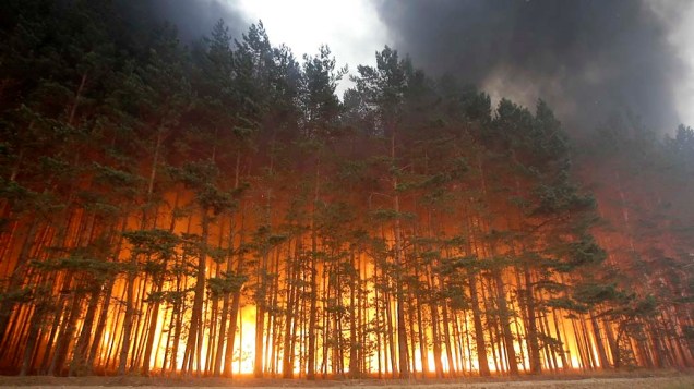Floresta em chamas no vilarejo de Dolginino, na Rússia