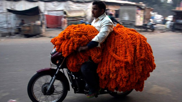Vendedor transporta arranjos com flores de  calêndulas na cidade indiana de Allahabad