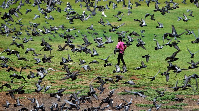 Garoto anda no meio dos pombos em um campo de Mumbai, na Índia<br>  