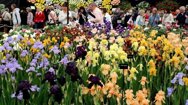 Público prestigia a Exposição anual de Flores em Chelsea