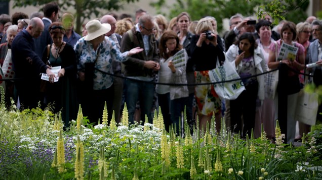 Público se agrupa para fotografar as diversas espécies durante a Exposição de Flores em Londres