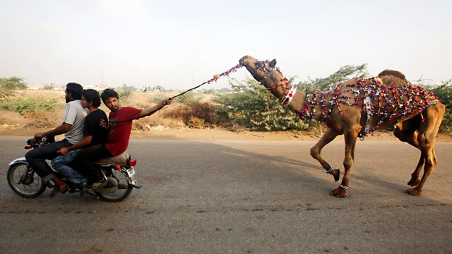 Homens conduzem um camelo recém comprado, para a celebração do Eid al-Adha (ritual de sacrifício), que marca o fim do Hajj, no Paquistão