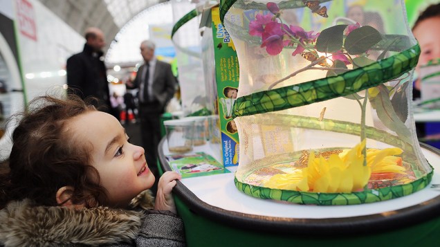 Garota de 3 anos olha para estande com borboletas durante a feira anual de brinquedos de Londres
