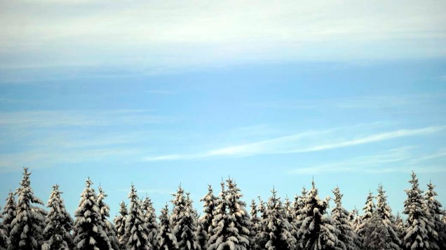 Árvores cobertas de neve no norte da Alemanha