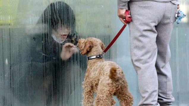 Garota isolada, por causa da radiação, com seu cachorro na cidade de Nihonmatsu, Japão