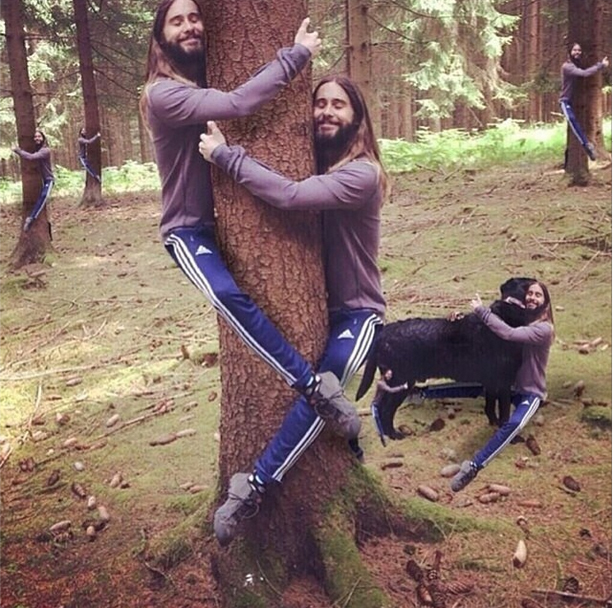 Jared Leto posta foto abraçado em árvore e vira meme