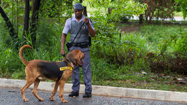 Cães farejadores da polícia procuram pelo menino Joaquim, de 3 anos