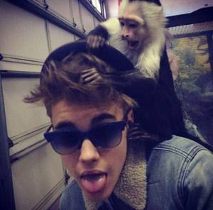 Justin Bieber e o macaco Mally
