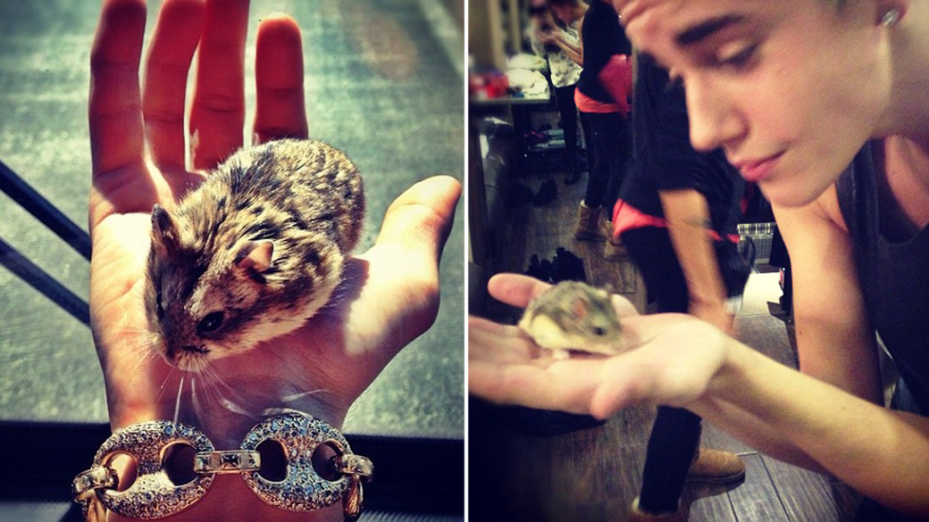Justin Bieber com seu Hamster 'PAC'