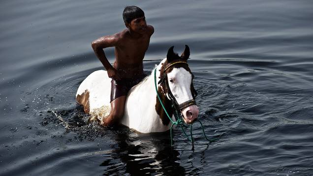 Menino banha seu cavalo em canal de Nova Déli, na Índia, nesta terça-feira