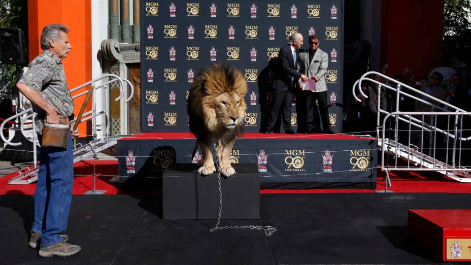 Leo the Lion, mascote da MGM, na Calçada da Fama de Hollywood