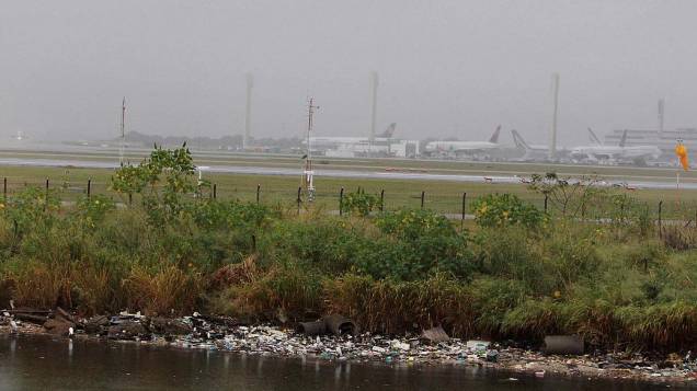 Lixo no entorno do aeroporto do Galeão atrai urubus, que voam próximo aos aviões