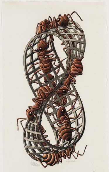 Fita de Moebius II (formigas), 1963. Xilogravura 45,3 x 20,5 cm