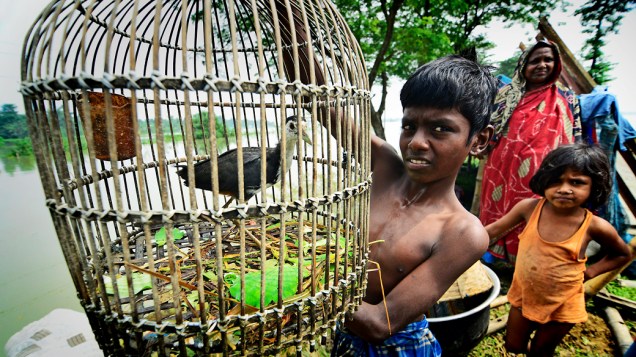 Menino mostra gaiola com seu pássaro após ele, e sua família, serem resgatados de uma enchente no distrito Marigaon no estado de Assam, Índia