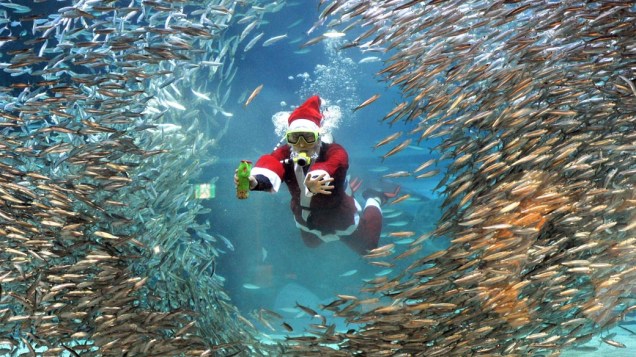 Mergulhador com fantasia de Papai Noel durante evento no Aquário Coex em Seul, Coreia do Sul