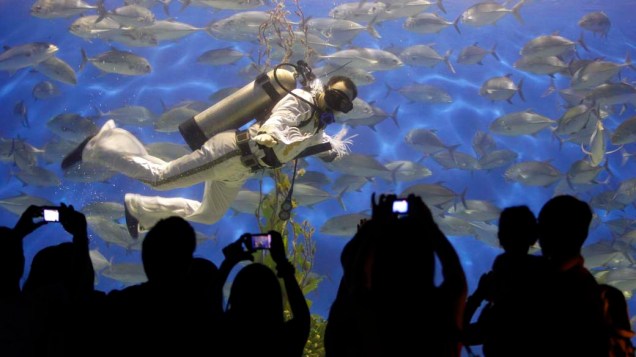 Mergulhador vestido de Elvis Presley durante apresentação em aquário no Ocean Park, em Manila, Filipinas