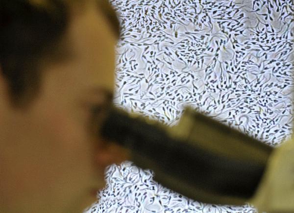 Entre o laboratório e o paciente: o papel da patologia em um hospital