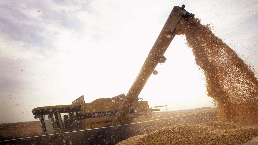 Colheita de milho deve diminuir 6% em 2014