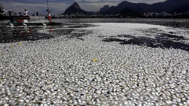 Mortandade de peixes aumenta na Lagoa Rodrigo de Freitas
