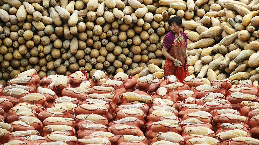 Mulher inspeciona sacos de abóboras em um mercado de legumes em Taiyuan, na China