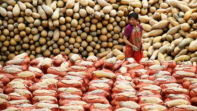 Mulher inspeciona sacos de abóboras em um mercado de legumes em Taiyuan, na China