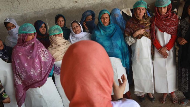 Em Cabul, afegãs durante aula sobre criação animal, parte de um programa que visa educar as mulheres sobre formas de aumentar a renda familiar