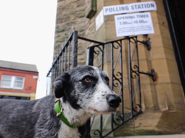 Cachorro aguarda do lado de fora de uma zona eleitoral, no Reino Unido