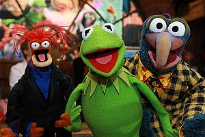 Os fantoches do The Muppets